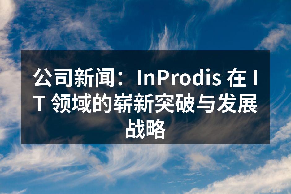 公司新闻:InProdis 在 IT 领域的崭新突破与发展战略